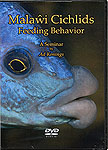 DVD Malawi Cichlid Feeding Behavior