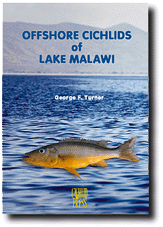 Offshore cichlids of Lake Malawi