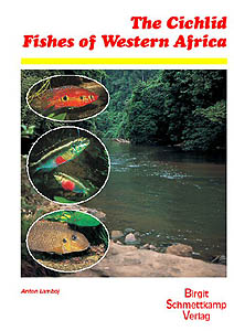 The Cichlid Fishes of Western Africa / Lamboj